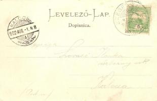 Gombos, Dampffähre, gőzkomp; Phot. u. Verlag v. Eugen Selzer / ferry, freight train