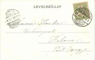 Pöstyén, Pistyán; Fürdőkocsi, Badewagen / spa carriage