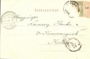 Nagyszalonta, Toldy tér, Reich Jakab kiadása / square, market place