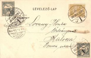 Újvidék, Erzsébet tér, polgári és felső kereskedelmi iskola, kiadja Herger Ágoston / square, busines...