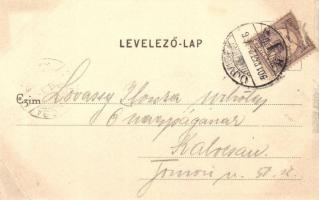 Újvidék, Erzsébet sziget; kiadja Herger Ágoston / view from Elisabeth Island (EB)