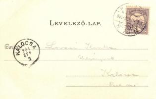 Budapest II. Lipótmezei elmegyógyintézet, 387. sz. Divald Károly