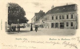 Károlyváros, Karlovac; Senjska ulica, Hotel Fiume; L. Reich / Senj street