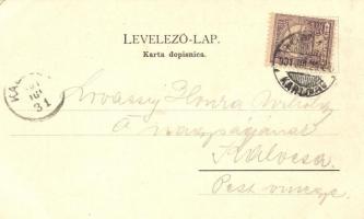 Károlyváros, Karlovac; Senjska ulica, Hotel Fiume; L. Reich / Senj street