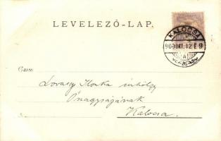 1900 Kalocsa, Látkép a Szent István utcával, takarékpénztár, photo