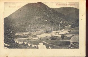 Bereg Vereckei szoros