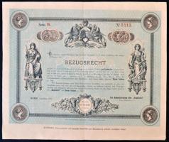 Ausztria / Bécs 1887. "Opció - A Kapitalista című folyóirat 10. évfolyamának három ingyenes számára" részvény formájú folyóirat kupon és hirdetés T:III Austria / Vienna 1887. "Option - for three free issue of The Capitalist" coupon and advertisment in sharelike appearance C:F