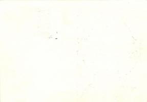 1938 Adolf Hitler, Geburtstag des Führers / Hitler's birthday anniversary postcard So. Stpl