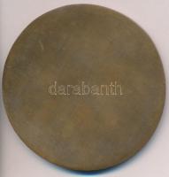 Ligeti Erika (1934-2004) DN "Pax Vobis Cum" egyoldalas Br emlékérem (81mm) T:2 kis ph