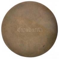 Kereszthury Gábor (1965-) DN "Nádasdy Kálmán-díj" Br díjérem (80mm) T:2 / 
Hungary ND &qu...