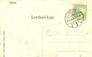 Szatmárnémeti, Deák tér, Városi bérpalota, Österreicher palota, üzletek / Deák Square, shops