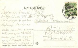 Szatmárnémeti, Kir. törvényszék, Cseplák Bálint kiadása / court