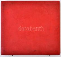 DN "40 éves szolgálatért Dorogi Szénbányák" egyoldalas Br plakett, eredeti dísztokban. Szi...