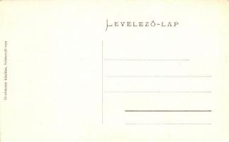 Selmecbánya, Banska Stiavnica; Chémia laboratórium, Goldmann kiadása / chemistry lab building