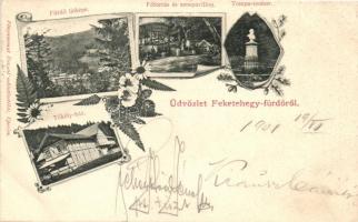 Feketehegyfürdő, Merény, Nálepkovo; Fürdő, Főforrás és zenepavilon, Tompa-szobor, Tököly ház, Divald / spa, fountain, music pavilion, statue, villa, floral (vágott / cut)