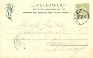 Tátra, Menguszfalvi-völgy, Tengerszem-csúcs, Feitzinger Ede 276