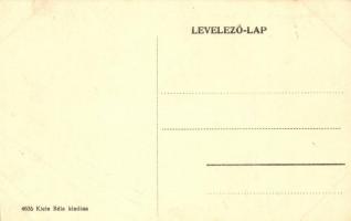 Mezőkaszony, Koson; Királyi Járásbíróság, Katolikus pap kertje, kiadja Klein Béla / court, garden