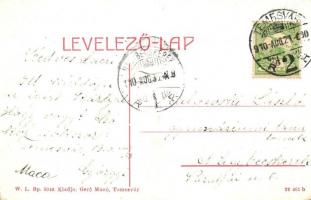 Temesvár, Timisoara; Magyar királyi állami főgimnázium W. L. Bp. 2010. kiadja Gerő Manó / grammar sc...