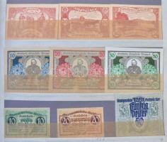 Ausztria ~550db-os igényes szükségpénz gyűjtemény albumba rendezve, osztrák Heller szükségpénzek T:I...