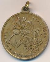 1898. "Szabadságharczunk dicső emlékére / Istenért, királyért, hazáért" Cu emlékérem (29,5...