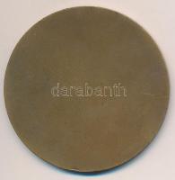 DN "Bartók Béla emlékérem" egyoldalas Br érem (60mm) T:2 kis ph