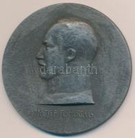 Osztrák-Magyar Monarchia ~1918. "József főherceg / Kárpátok, Doberdo" Zn emlékérem (59mm) T:2,2- Austro-Hungarian Monarchy ~1918. "Archduke Joseph / Carpathians, Doberdo" Zn commemorative medallion (59mm) C:XF,VF