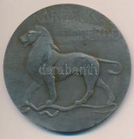 Osztrák-Magyar Monarchia ~1918. "József főherceg / Kárpátok, Doberdo" Zn emlékérem (59mm) ...