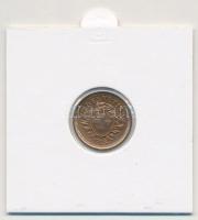 Svájc 1913B 1r Br T:1
Switzerland 1913B 1 Rappen Br C:UNC