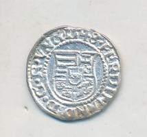 1548K-B Denár Ag "I. Ferdinánd" (0,55g) T:1-,2  Huszár: 935., Unger II.: 745.a