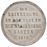 Ausztria 1879. "Ferenc József és Erzsébet / A schwarzenberg-kerti ünnepség emlékére" ón em...