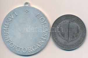 Ausztria DN "Stájer Nemzeti Bajnok / Nemzeti Sportszervezet" zománcozott, ezüstözött fém e...