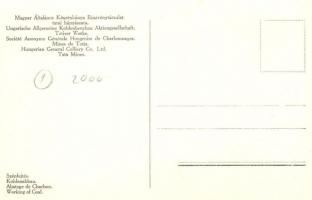 Tata, a Magyar Általános Kőszénbánya Részvénytársulat tatai bányászata, szénfejtés