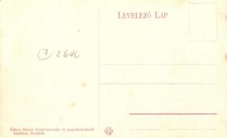 Szolnok, Mezőgazdasági szövetkezet; Bakos István könyvnyomda és papírkereskedés kiadása