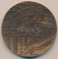 1972. "Egriek a városért" Br emlékérem (230g/83mm) T:2
