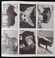 A budapesti állatkerttel kapcsolatos vágatlan gyufacímke