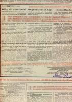 Megrendelési lap - "1 drb. Hollandi Földhitelintézeti nyerem.kötvényt" - Arad, 3 nyelven