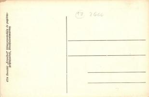 Dicsőszentmárton, Diciosanmartin, Tarnaveni; Elemi iskola, Dosztál Erzsébet könyvnyomdája és papíros...