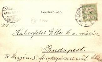 Temesvár, Timisoara; Józsefvárosi bérház, Reischl-féle sörraktár reklám / tenement house