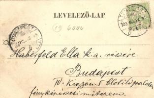 Temesvár, Timisoara; Gyárváros, Andrássy út, villamos; kiadja Uhrmann Henrik / street, tram