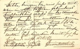 Trencsén, Trencin; Látkép a várral, kiadja Wertheim Zsigmond / view with the castle