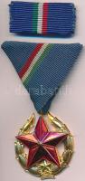 1951. "Közbiztonsági Érem" arany fokozata a rendőrség tagjai részére, aranyozott kitüntetés mellszalagon, szalagsávval T:2 NMK 549