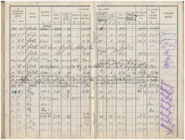 1915 Bp., A Budapesti M. Kir. Államhidak fizetési könyve báró Splény Ernő részére