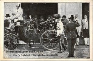 1905 Der Schach beim Kaiser Franz Joseph / Emperor of Austria welcomes Mozaffar-ed-din, Shah of Persia