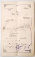 1901 A Pesti Izr. Hitközség okmánya tagfelvétel ügyében, 35x21cm