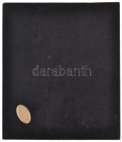 Berán Lajos (1882-1943) 1929. "Budapesti Önkéntes Mentő Egyesület Hálája Jeléül" Br lemezé...