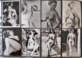 cca 1950-70 Vegyes aktfotó gyűjtemény mappába ragasztva, különböző méretben és minőségben, cca 500db...