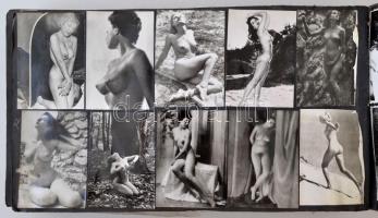 cca 1950-70 Vegyes aktfotó gyűjtemény mappába ragasztva, különböző méretben és minőségben, cca 500db...