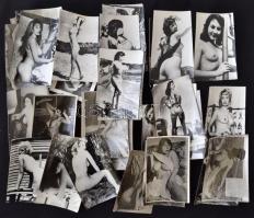cca 1950-70 Vegyes aktfotó gyűjtemény mappába ragasztva, különböző méretben és minőségben, cca 500db...