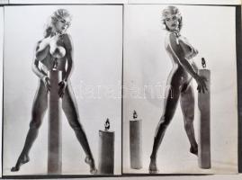 cca 1950-70 Vegyes aktfotó gyűjtemény mappába ragasztva, különböző méretben és minőségben, cca 500db...