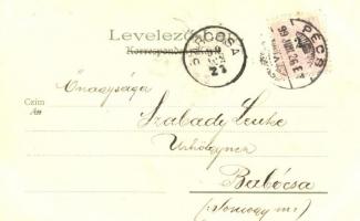 1899 Temesvár, Jenő herceg tér / Prince Eugene square, Kosmos litho s: Geiger